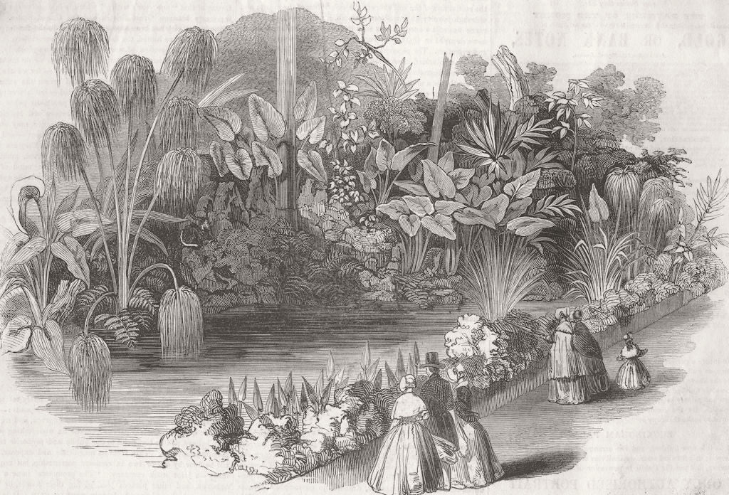 DERBYS. Chatsworth Conservatory-Aquatic Walk 1846 old antique print picture